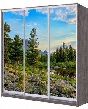 Шкаф-купе ХИТ 22-20/2-777 ПРИРОДА в Игриме - igrim.mebel24.online | фото