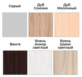 Шкаф-купе ХИТ 22-4-17-55 (420) в Игриме - igrim.mebel24.online | фото 3