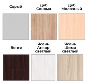 Шкаф-купе ХИТ 22-4-18-656 (420) в Игриме - igrim.mebel24.online | фото 3