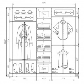 Шкаф-купе ХИТ 22-4-20-222 (420) в Игриме - igrim.mebel24.online | фото 2