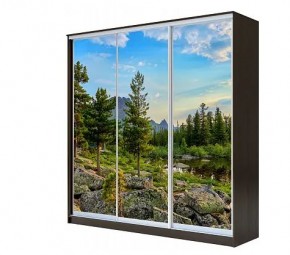 Шкаф-купе ХИТ 22-4-20-777 (420) в Игриме - igrim.mebel24.online | фото