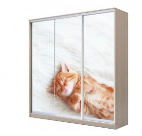 Шкаф-купе ХИТ 22-4-20-777 КОТЕНОК СПЯЩИЙ в Игриме - igrim.mebel24.online | фото