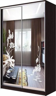 Шкаф-купе ХИТ 23-12-66 ЦАПЛИ в Игриме - igrim.mebel24.online | фото