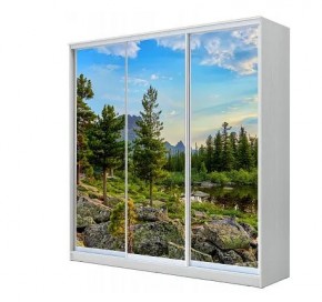 Шкаф-купе ХИТ 23-18-777 (620) в Игриме - igrim.mebel24.online | фото
