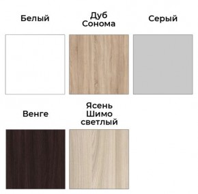 Шкаф-купе ХИТ 23-24/2-7777 (620) в Игриме - igrim.mebel24.online | фото 2