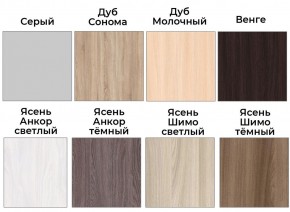 Шкаф-купе ХИТ 23-4-20/2-555 (420) в Игриме - igrim.mebel24.online | фото 3