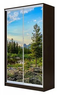 Шкаф-купе ХИТ 24-12/2-77 ПРИРОДА в Игриме - igrim.mebel24.online | фото