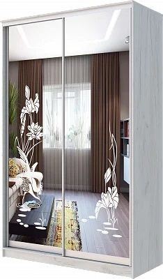 Шкаф-купе ХИТ 24-14-66 ЦАПЛИ в Игриме - igrim.mebel24.online | фото
