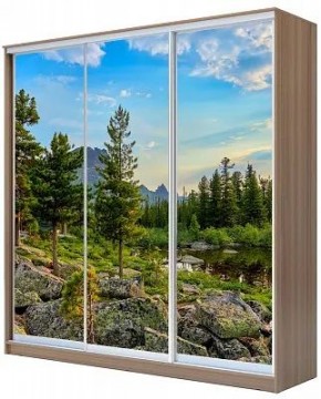 Шкаф-купе ХИТ 24-20/2-777 ПРИРОДА в Игриме - igrim.mebel24.online | фото
