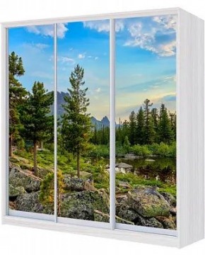 Шкаф-купе ХИТ 24-4-18-777 ПРИРОДА в Игриме - igrim.mebel24.online | фото