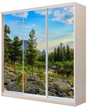 Шкаф-купе ХИТ 24-4-20-777 ПРИРОДА в Игриме - igrim.mebel24.online | фото