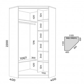 Шкаф-купе ХИТ-У-22-4-55 в Игриме - igrim.mebel24.online | фото 2