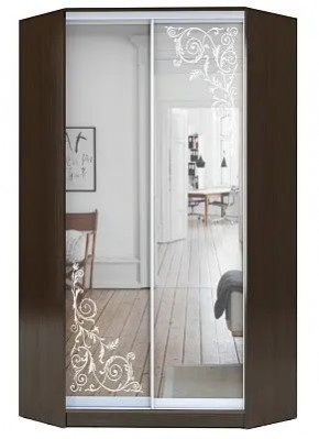 Шкаф-купе ХИТ-У-22-4-66 ОРНАМЕНТ в Игриме - igrim.mebel24.online | фото
