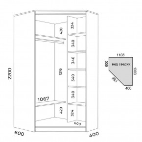 Шкаф-купе ХИТ-У-R-22-64-88 в Игриме - igrim.mebel24.online | фото 3