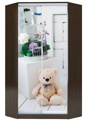 Шкаф-купе ХИТ-У-R-23-64-77 МИШКА В ИНТЕРЬЕРЕ в Игриме - igrim.mebel24.online | фото