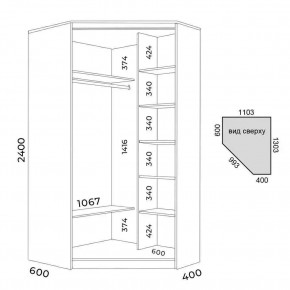 Шкаф-купе ХИТ-У-R-24-64-15 в Игриме - igrim.mebel24.online | фото 3