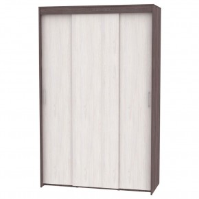 Шкаф-купе T-3-230х145х60 (13-5-4) в Игриме - igrim.mebel24.online | фото