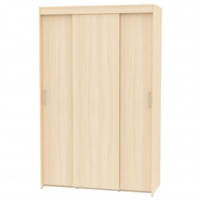 Шкаф-купе T-3-230х145х60 "ТОП" в Игриме - igrim.mebel24.online | фото 8