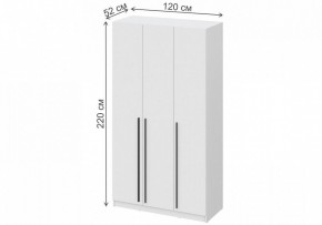Шкаф платяной Бирма ШК-1200 в Игриме - igrim.mebel24.online | фото 4