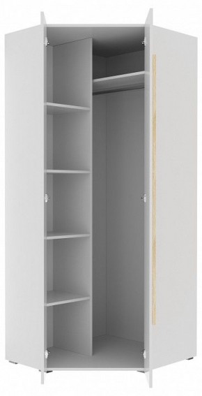 Шкаф платяной Куба 1725.М3 в Игриме - igrim.mebel24.online | фото 11