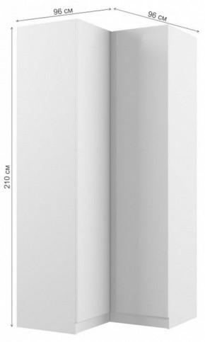 Шкаф платяной Мадера в Игриме - igrim.mebel24.online | фото 3