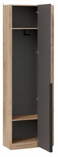 Шкаф платяной Порто СМ-393.07.232 в Игриме - igrim.mebel24.online | фото 2
