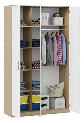 Шкаф платяной Сэнди в Игриме - igrim.mebel24.online | фото 3