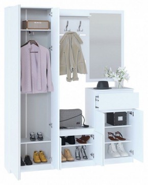 Шкаф платяной ШО-4 в Игриме - igrim.mebel24.online | фото 4