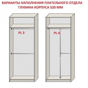 Шкаф распашной серия «ЗЕВС» (PL3/С1/PL2) в Игриме - igrim.mebel24.online | фото 10