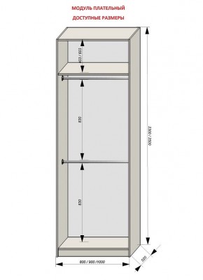 Шкаф распашной серия «ЗЕВС» (PL3/С1/PL2) в Игриме - igrim.mebel24.online | фото 12