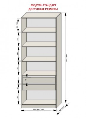 Шкаф распашной серия «ЗЕВС» (PL3/С1/PL2) в Игриме - igrim.mebel24.online | фото 13