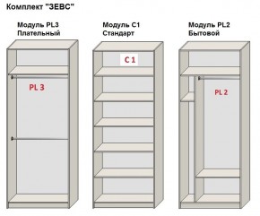 Шкаф распашной серия «ЗЕВС» (PL3/С1/PL2) в Игриме - igrim.mebel24.online | фото 2