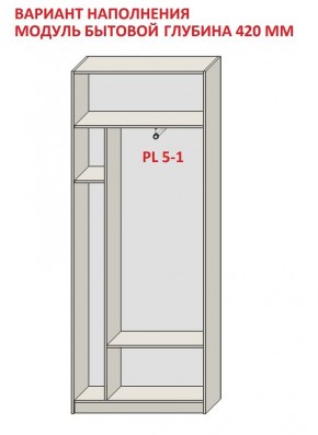 Шкаф распашной серия «ЗЕВС» (PL3/С1/PL2) в Игриме - igrim.mebel24.online | фото 4