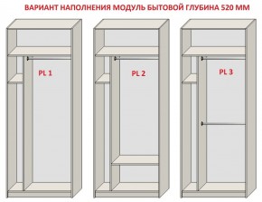 Шкаф распашной серия «ЗЕВС» (PL3/С1/PL2) в Игриме - igrim.mebel24.online | фото 5