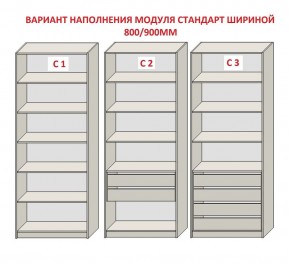 Шкаф распашной серия «ЗЕВС» (PL3/С1/PL2) в Игриме - igrim.mebel24.online | фото 6