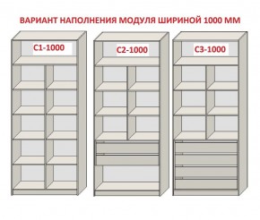 Шкаф распашной серия «ЗЕВС» (PL3/С1/PL2) в Игриме - igrim.mebel24.online | фото 7