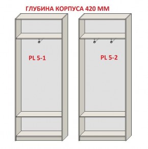 Шкаф распашной серия «ЗЕВС» (PL3/С1/PL2) в Игриме - igrim.mebel24.online | фото 8