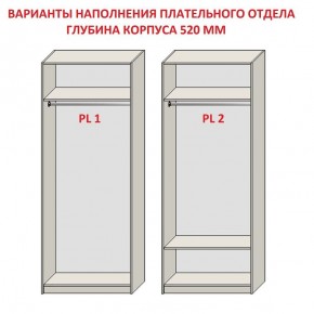 Шкаф распашной серия «ЗЕВС» (PL3/С1/PL2) в Игриме - igrim.mebel24.online | фото 9