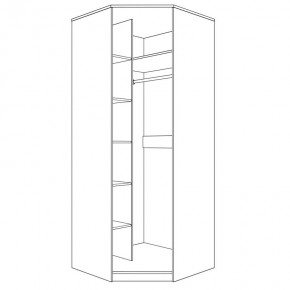 Шкаф угловой с зеркалом Парма Нео в Игриме - igrim.mebel24.online | фото 6