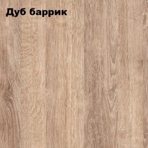 ГРАФ Стеллаж (дуб баррик) в Игриме - igrim.mebel24.online | фото 2
