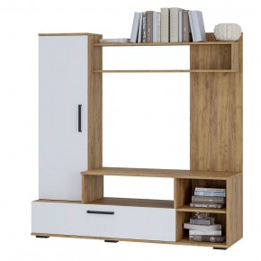 Гостиная Евро 2 (крафт/белый) в Игриме - igrim.mebel24.online | фото 3
