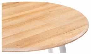 Стол обеденный Абилин в Игриме - igrim.mebel24.online | фото 4