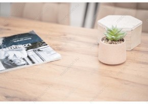 Стол обеденный Тринити Лофт 120 в Игриме - igrim.mebel24.online | фото 6