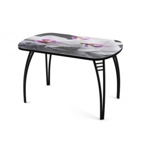 Стол Паук с фотопечатью Лайм R156 в Игриме - igrim.mebel24.online | фото 1