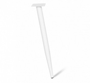 Стол письменный SHT-TU14/TT31 120/65 в Игриме - igrim.mebel24.online | фото 6