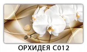 Стол раздвижной Трилогия с фотопечатью Доска D111 в Игриме - igrim.mebel24.online | фото 13
