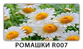 Стол раздвижной Трилогия с фотопечатью Доска D111 в Игриме - igrim.mebel24.online | фото 15