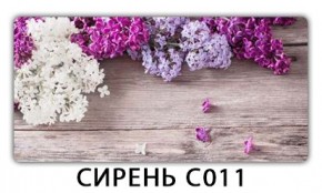 Стол раздвижной Трилогия с фотопечатью Орхидея C013 в Игриме - igrim.mebel24.online | фото 16