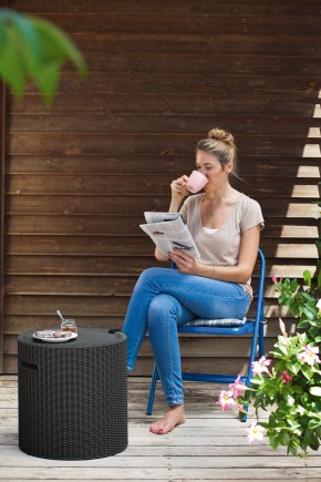 Столик-холодильник Кул-Стул (Cool stool) коричневый в Игриме - igrim.mebel24.online | фото 2