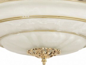 Светильник на штанге Arti Lampadari Pavia Pavia E 1.13.P40 G в Игриме - igrim.mebel24.online | фото 3